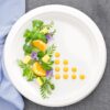 10 Inch Round Sugarcane Bagasse Plates - Image 3