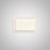 Small Bagasse Compartment Trays - Image 2